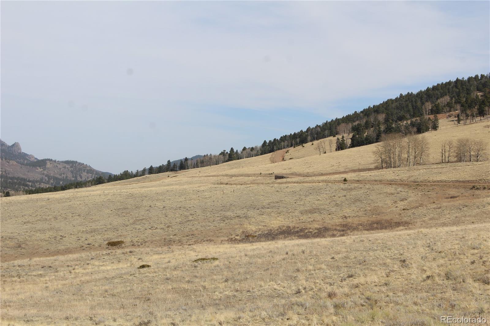 MLS Image #34 for 1115  eagles gate road,westcliffe, Colorado