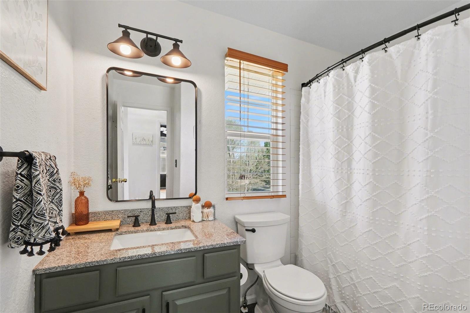 MLS Image #12 for 7242  high street,longmont, Colorado