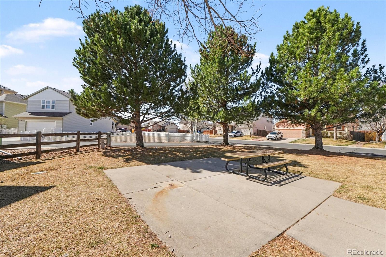 MLS Image #19 for 7242  high street,longmont, Colorado