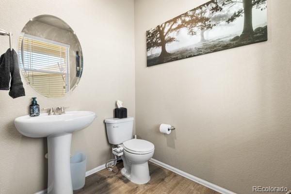 MLS Image #17 for 5849  echo park circle ,castle rock, Colorado