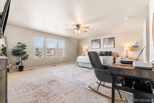 MLS Image #21 for 5849  echo park circle ,castle rock, Colorado