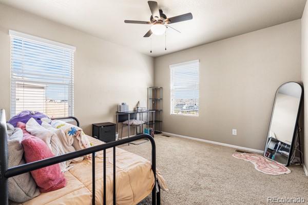 MLS Image #28 for 5849  echo park circle ,castle rock, Colorado