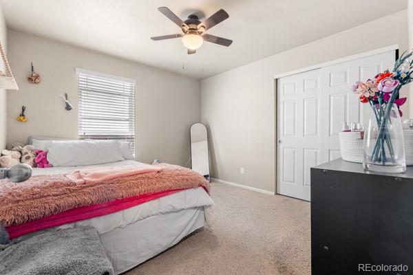MLS Image #29 for 5849  echo park circle ,castle rock, Colorado