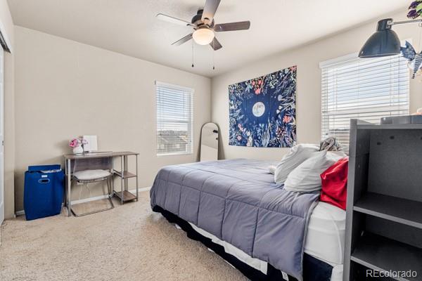 MLS Image #30 for 5849  echo park circle ,castle rock, Colorado