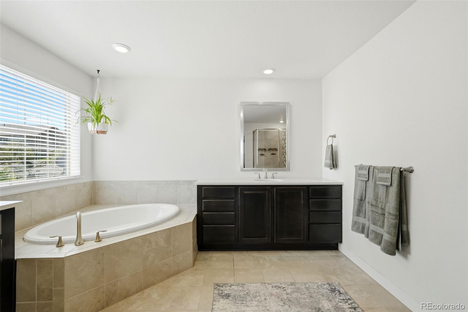 MLS Image #28 for 9810  taylor river circle,littleton, Colorado