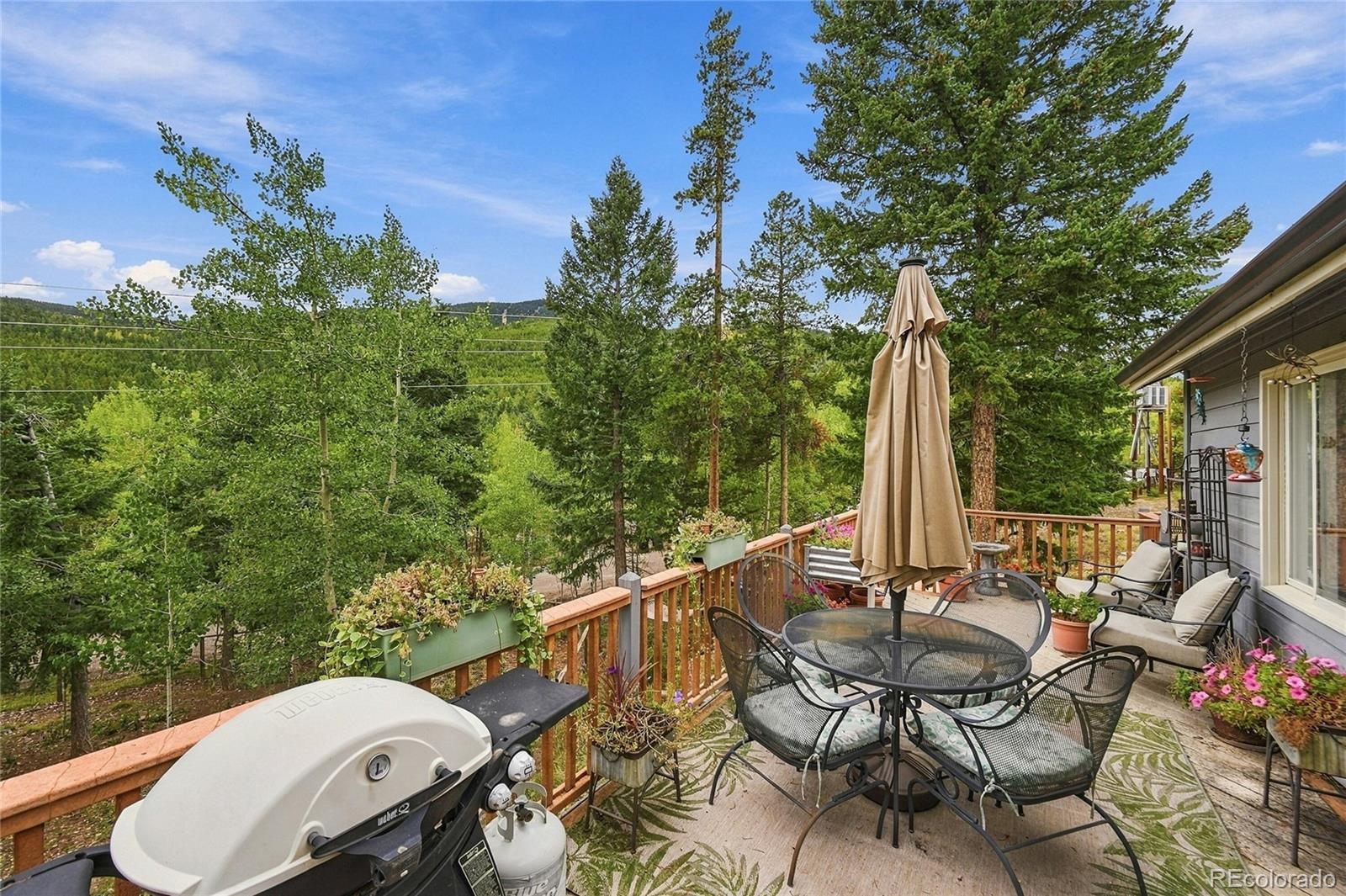MLS Image #16 for 32157  stenzel drive,conifer, Colorado
