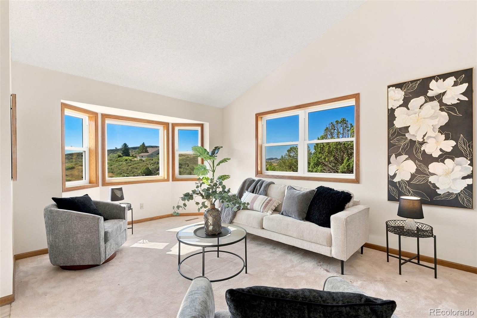 MLS Image #13 for 8060  firethorn drive,loveland, Colorado