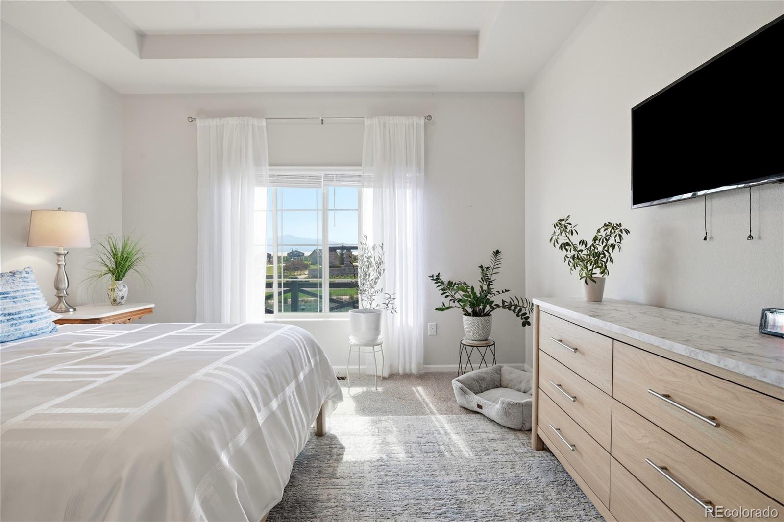 MLS Image #28 for 6338  moate lane,colorado springs, Colorado