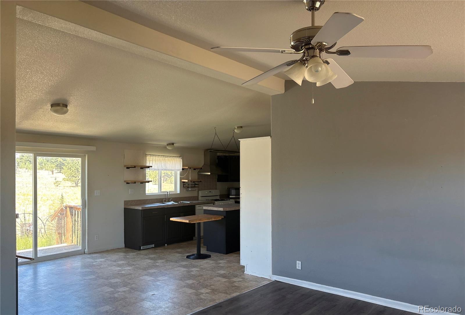 MLS Image #10 for 1326  kaufman road,hartsel, Colorado