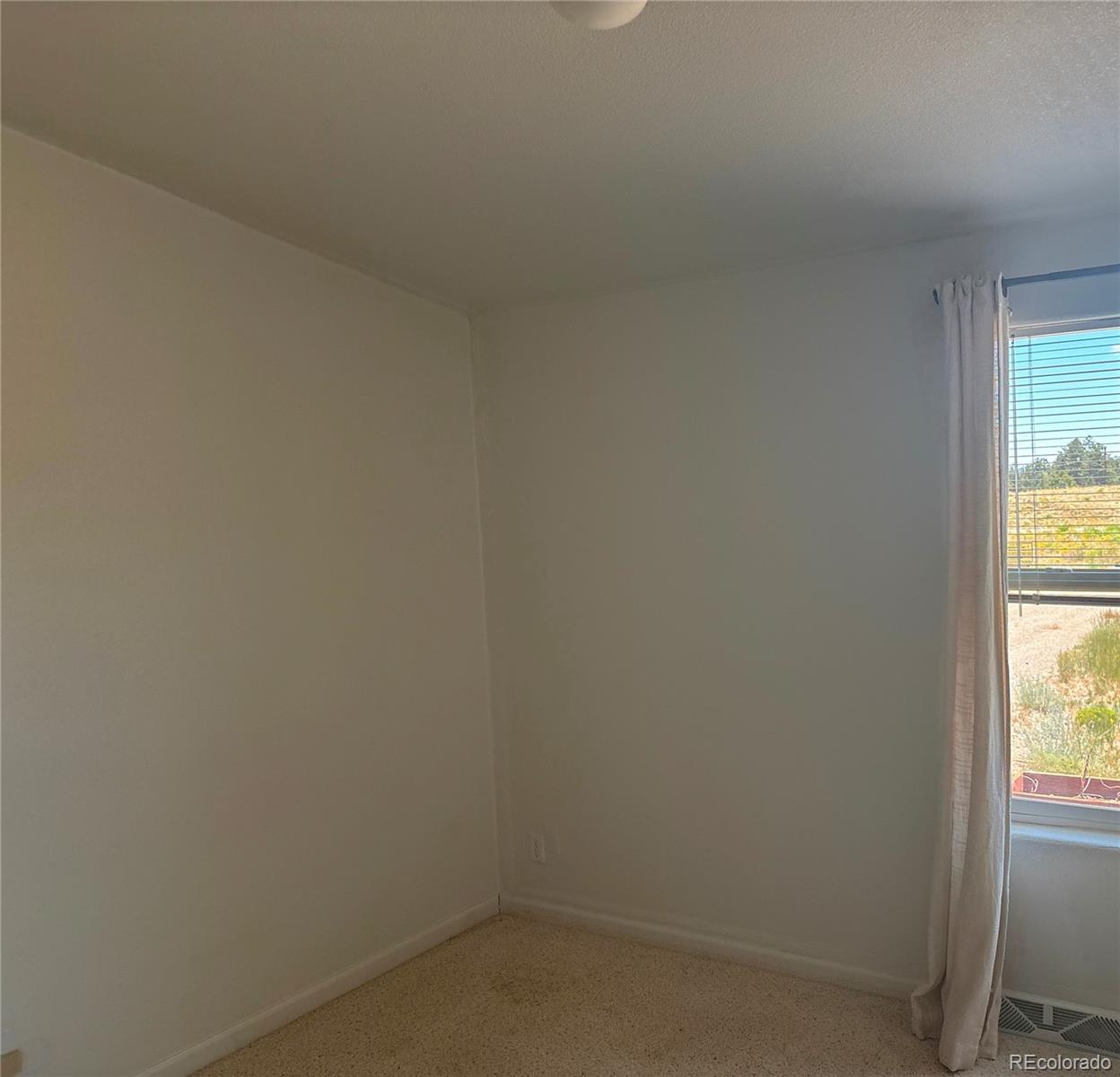 MLS Image #4 for 1326  kaufman road,hartsel, Colorado
