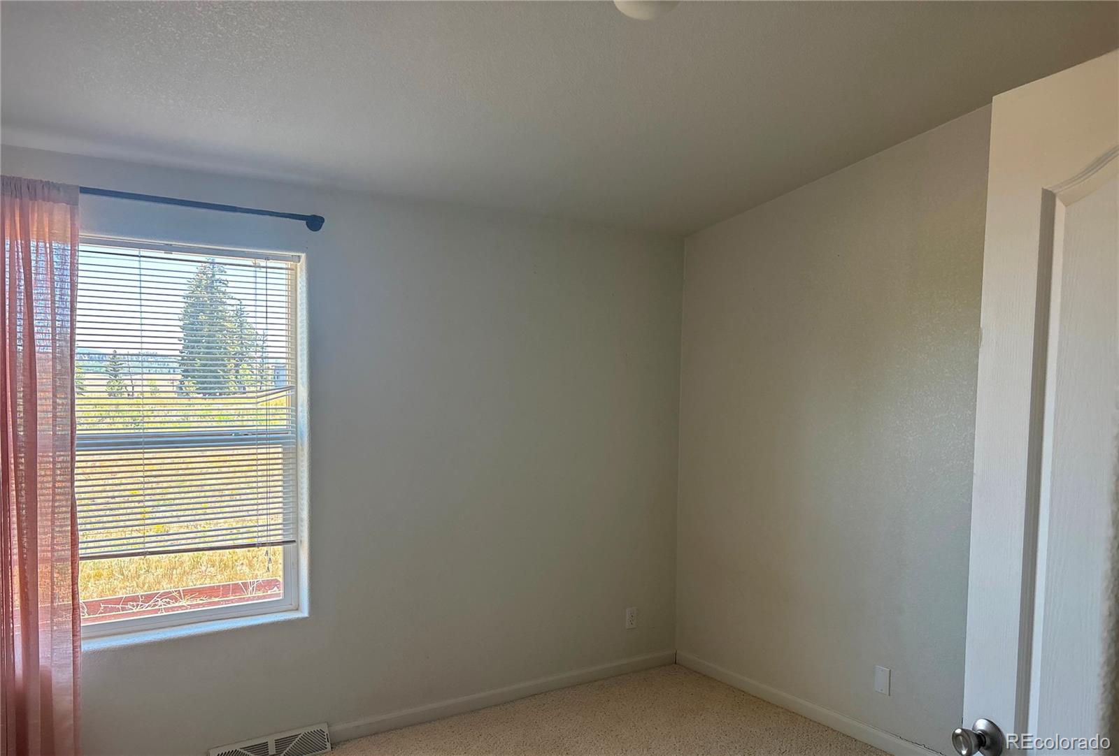 MLS Image #6 for 1326  kaufman road,hartsel, Colorado