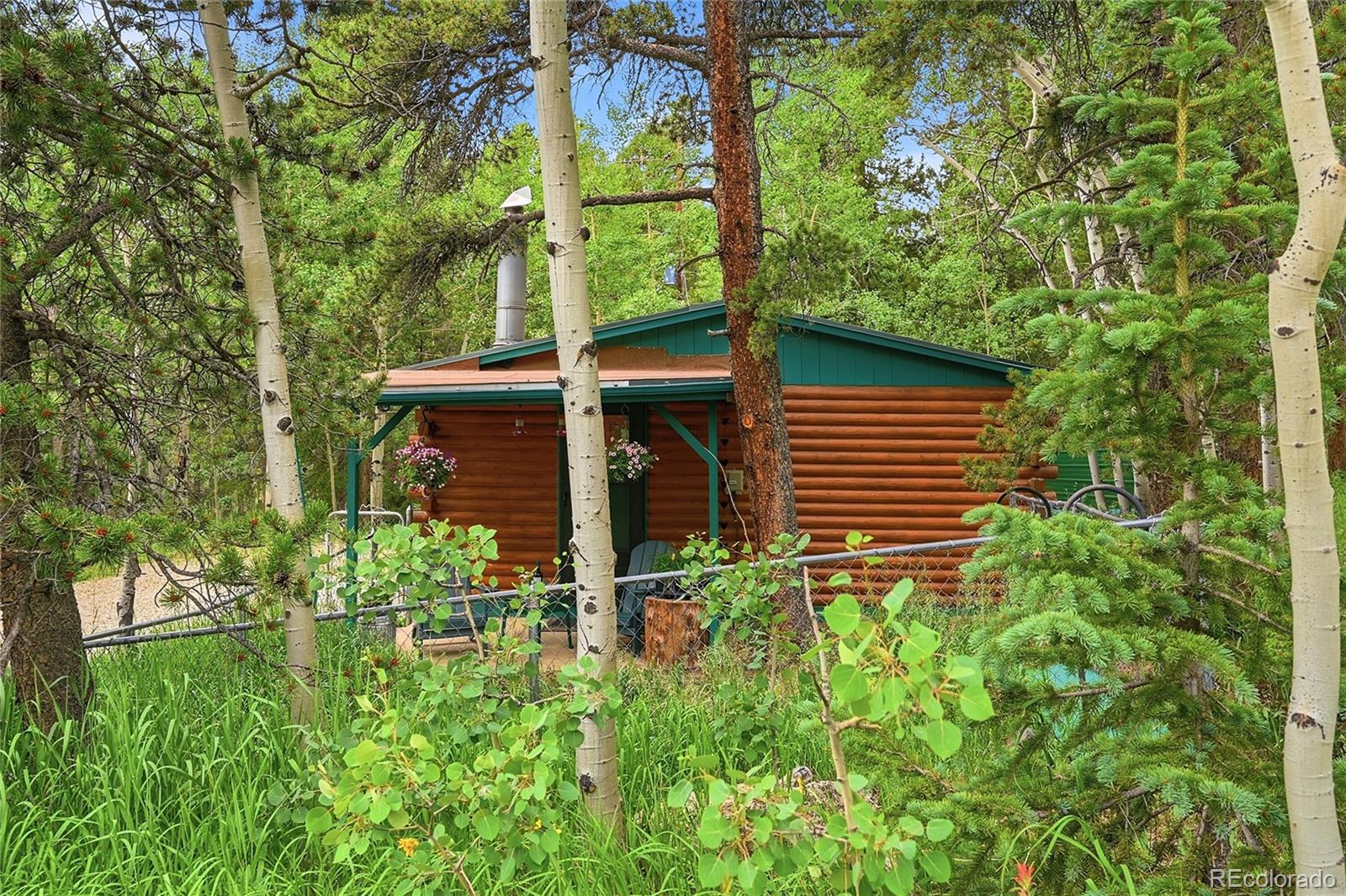 MLS Image #10 for 464  long trail road,black hawk, Colorado