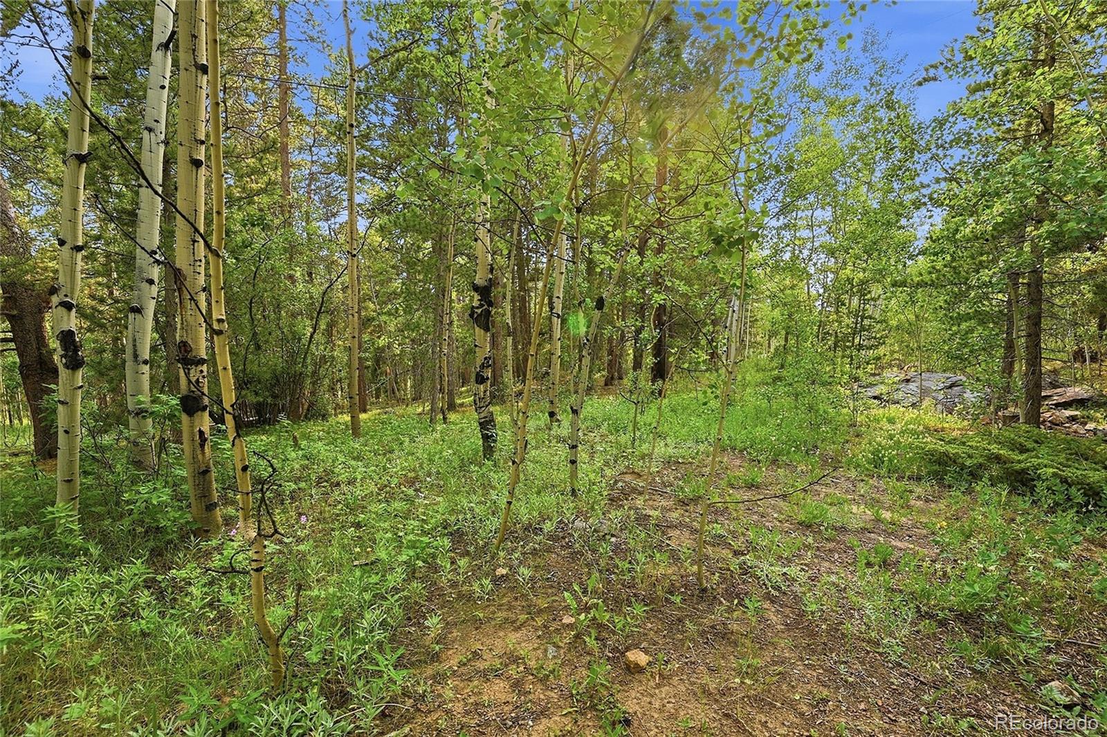 MLS Image #14 for 464  long trail road,black hawk, Colorado
