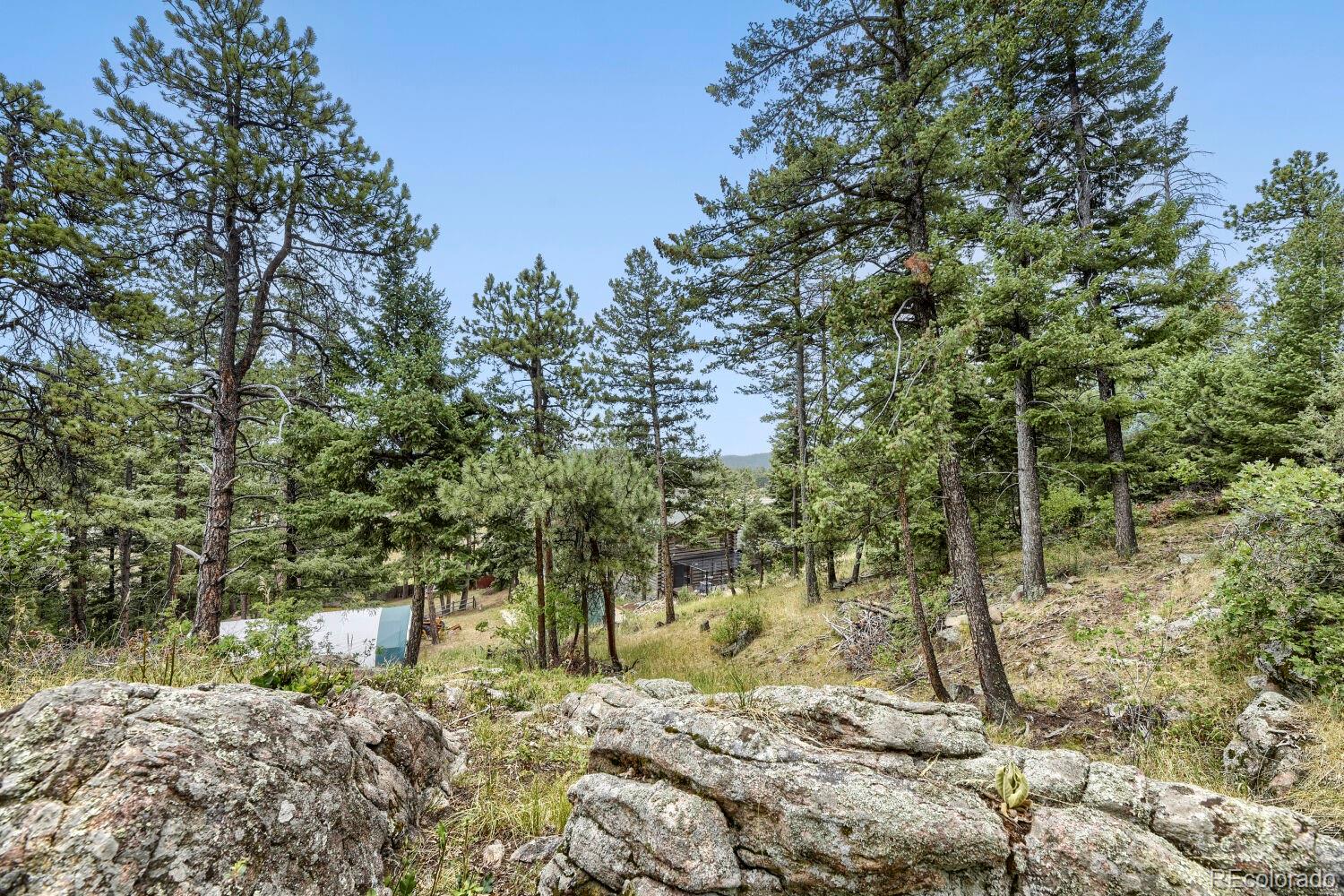 MLS Image #25 for 8465  us highway 285 ,morrison, Colorado