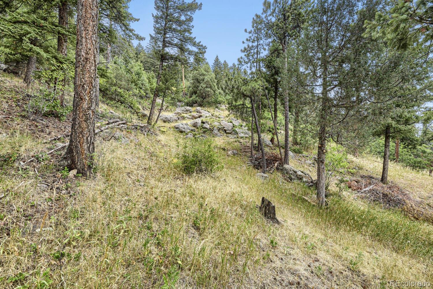 MLS Image #26 for 8465  us highway 285 ,morrison, Colorado
