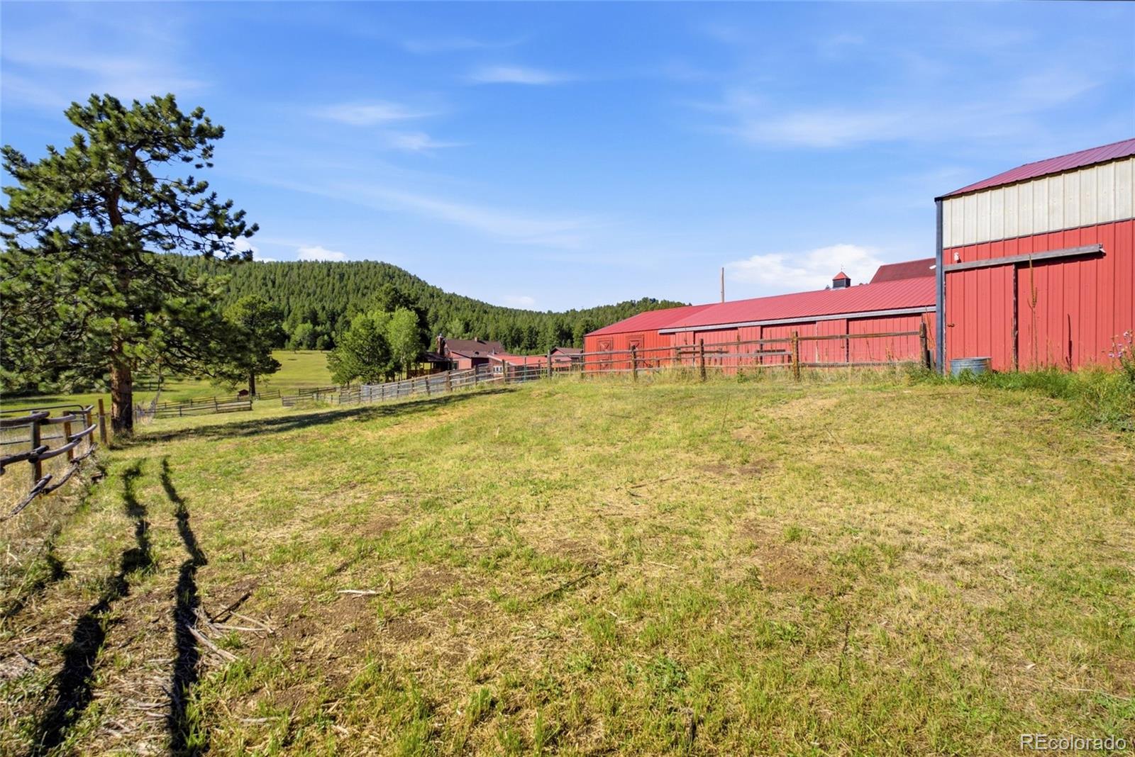 MLS Image #13 for 28886  cragmont drive,evergreen, Colorado