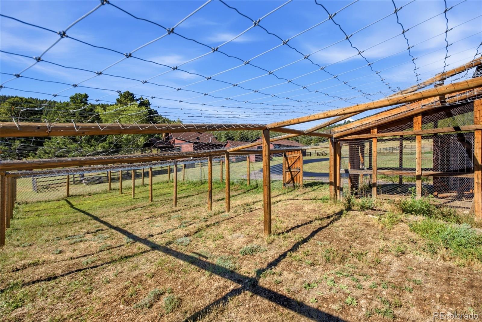 MLS Image #22 for 28886  cragmont drive,evergreen, Colorado