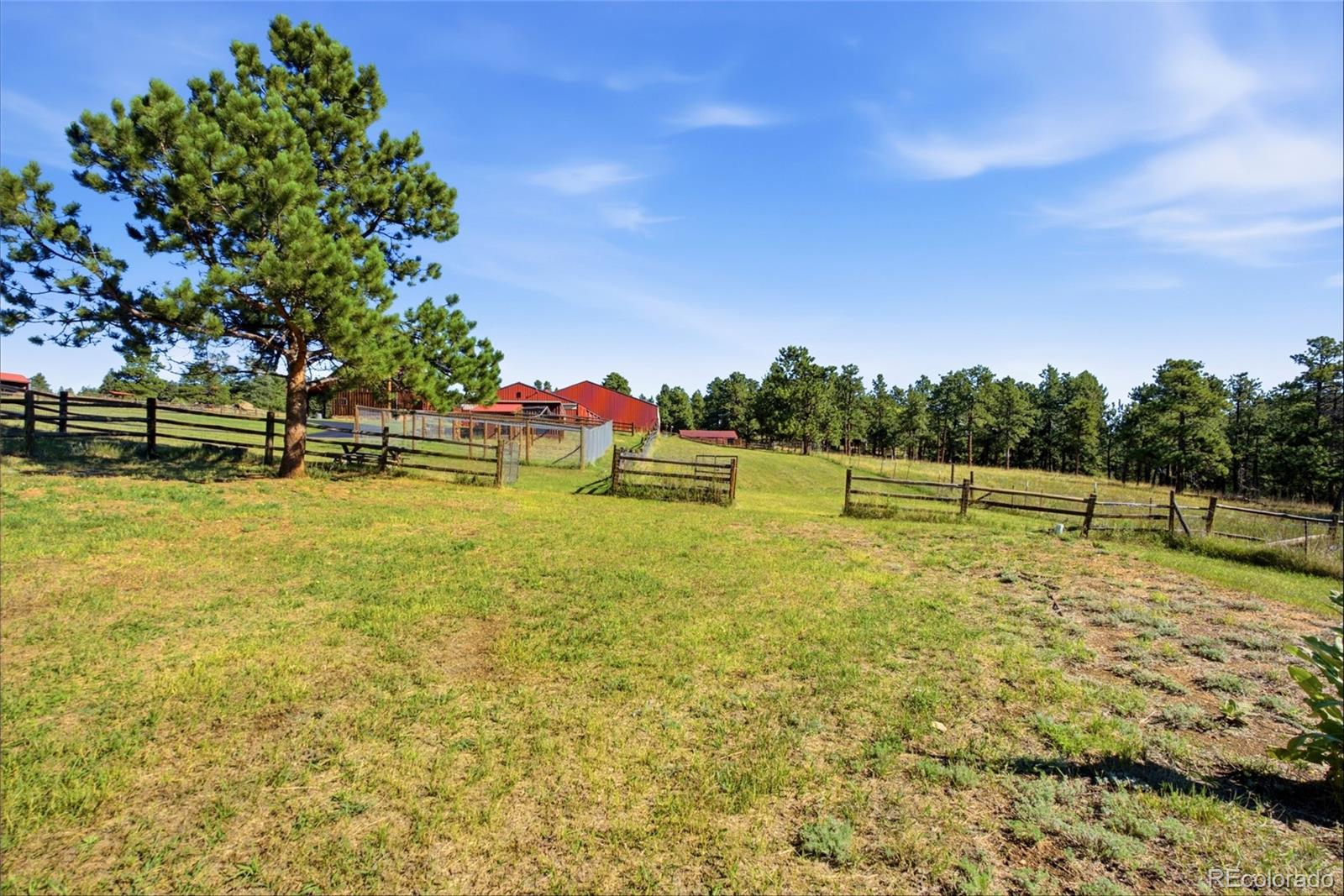 MLS Image #24 for 28886  cragmont drive,evergreen, Colorado