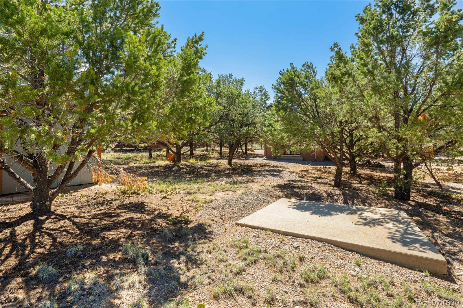 MLS Image #41 for 4288  fallen tree ,crestone, Colorado