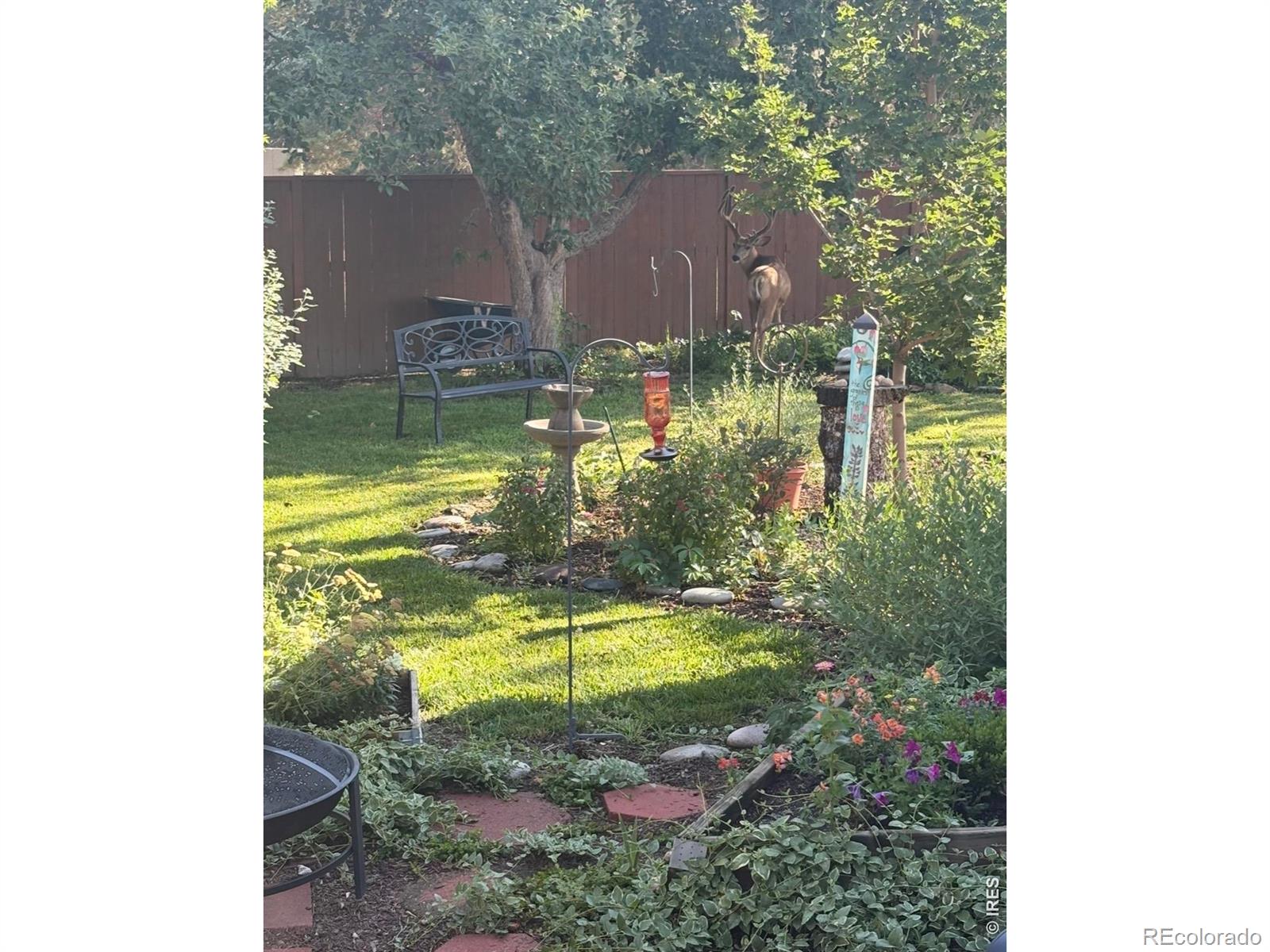 MLS Image #22 for 622  boulder circle,fort collins, Colorado
