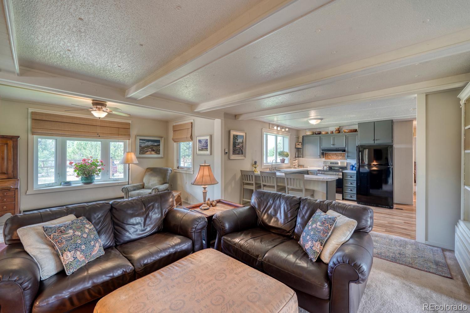 MLS Image #10 for 30350  county road 383 ,buena vista, Colorado