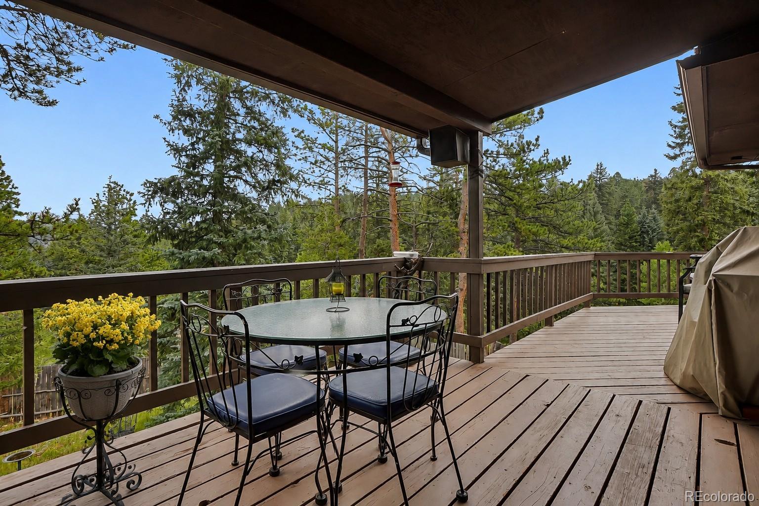 MLS Image #25 for 11957  elk trail road,conifer, Colorado