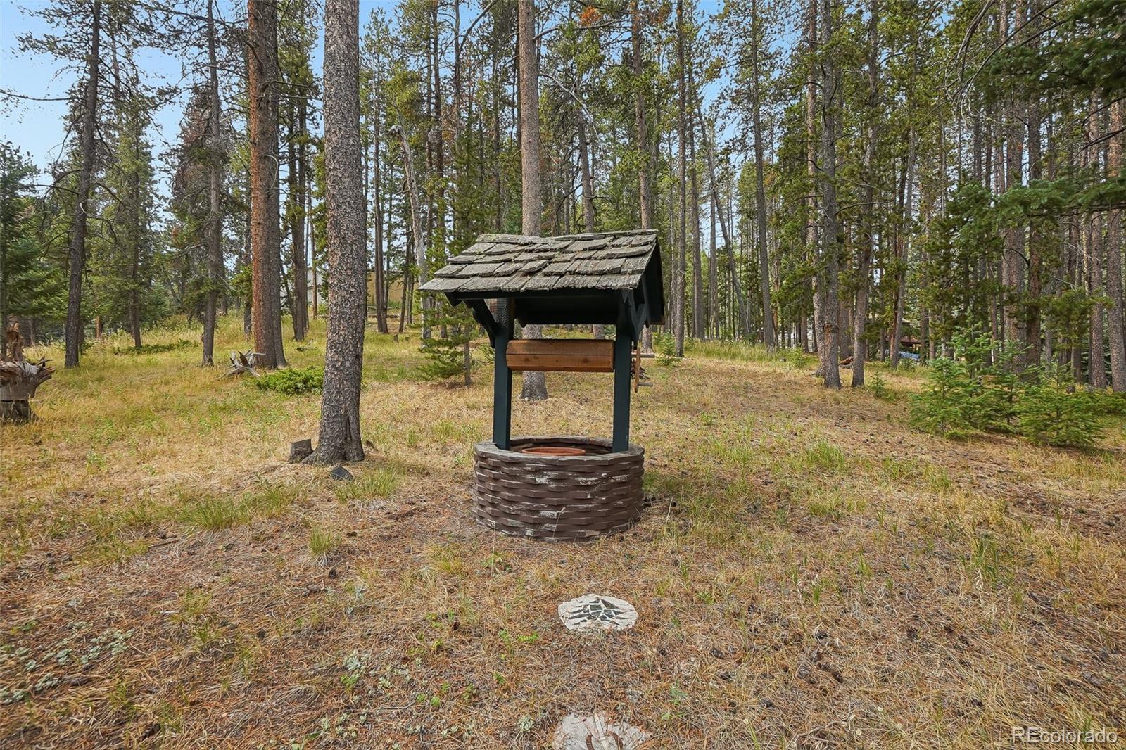 MLS Image #29 for 11957  elk trail road,conifer, Colorado