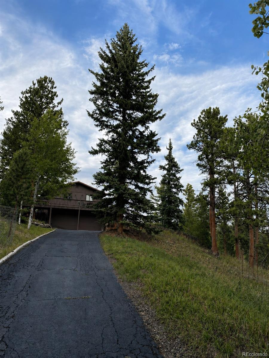 MLS Image #32 for 11957  elk trail road,conifer, Colorado