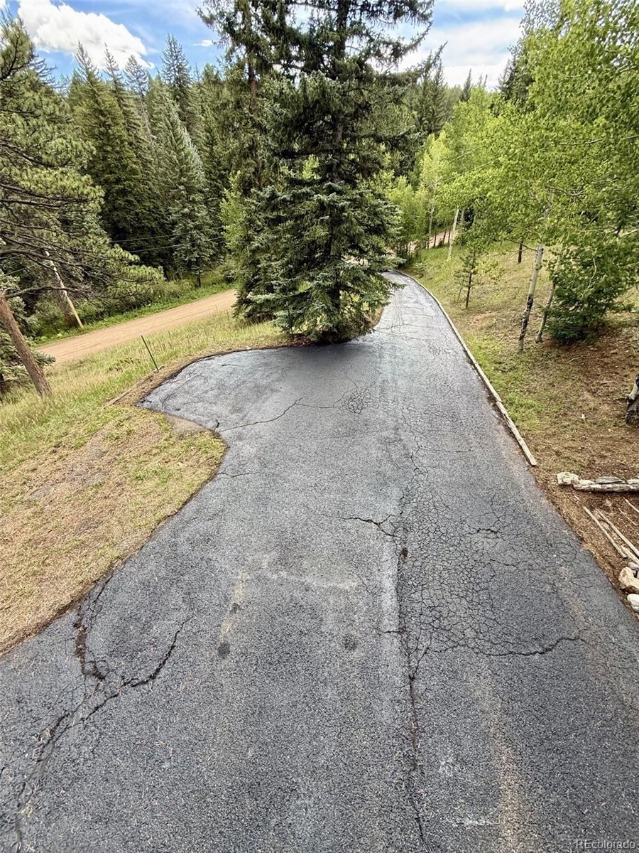 MLS Image #34 for 11957  elk trail road,conifer, Colorado