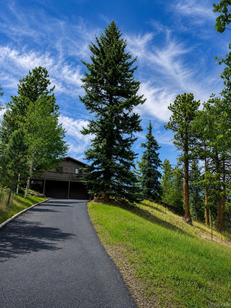 MLS Image #39 for 11957  elk trail road,conifer, Colorado