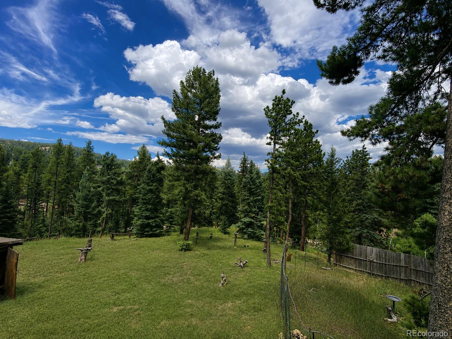 MLS Image #4 for 11957  elk trail road,conifer, Colorado