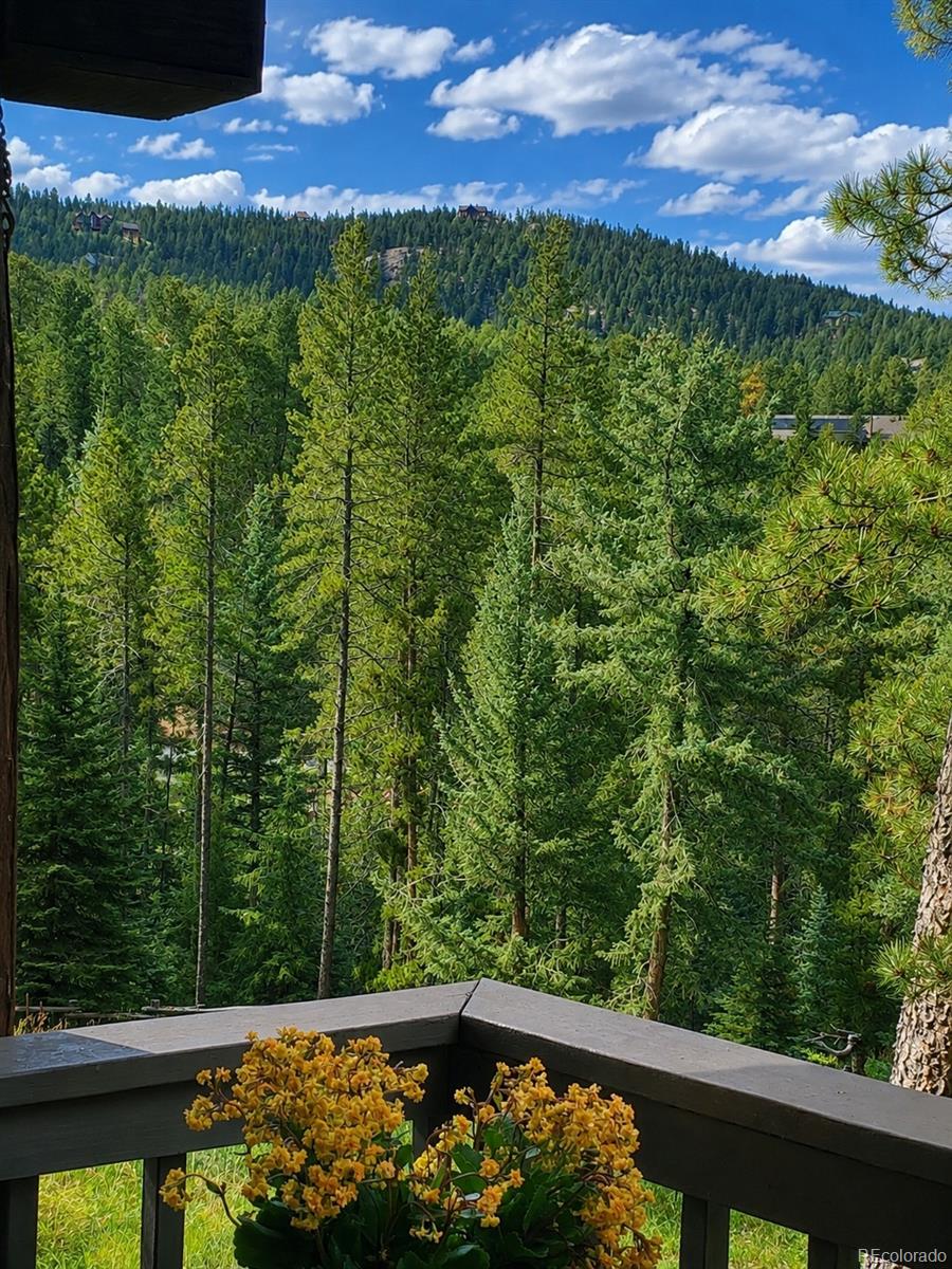 MLS Image #40 for 11957  elk trail road,conifer, Colorado