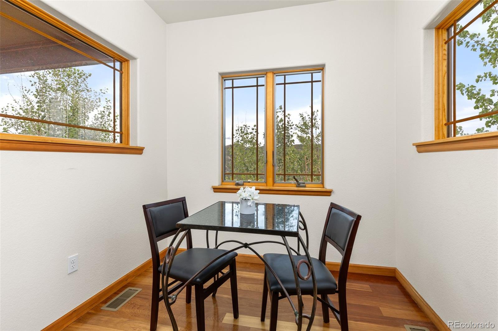 MLS Image #15 for 2607  ridge road,nederland, Colorado