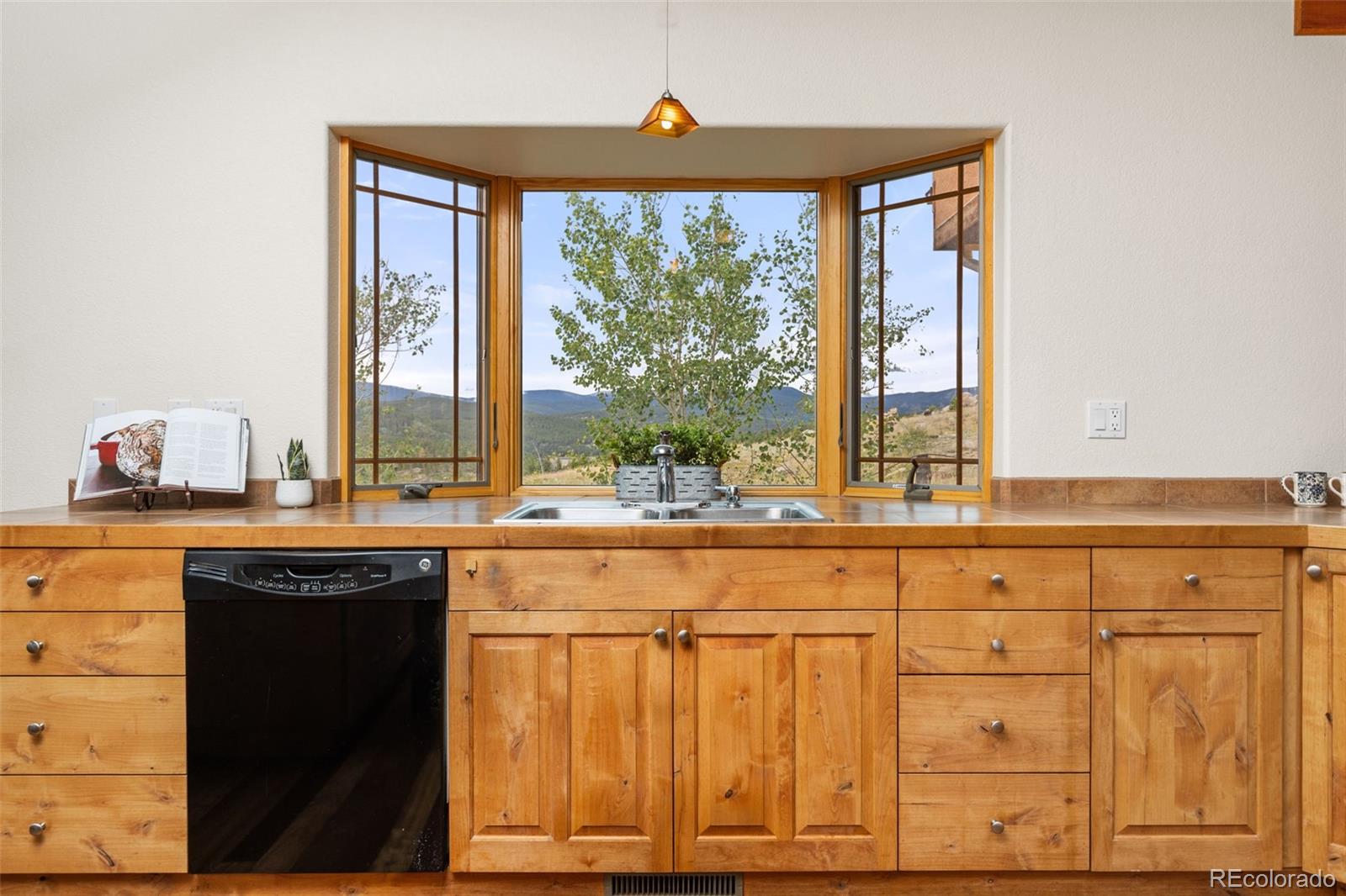 MLS Image #16 for 2607  ridge road,nederland, Colorado