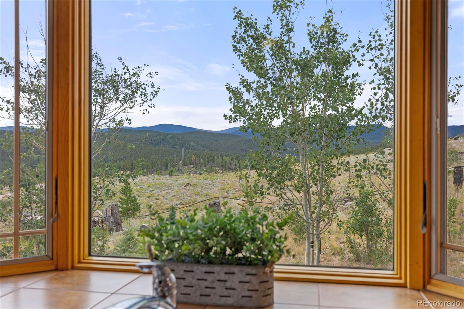 MLS Image #17 for 2607  ridge road,nederland, Colorado