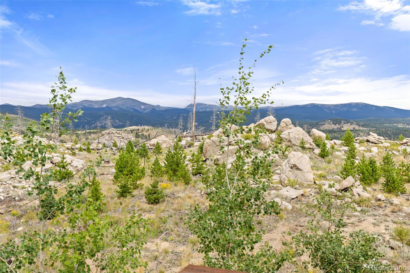 MLS Image #6 for 2607  ridge road,nederland, Colorado