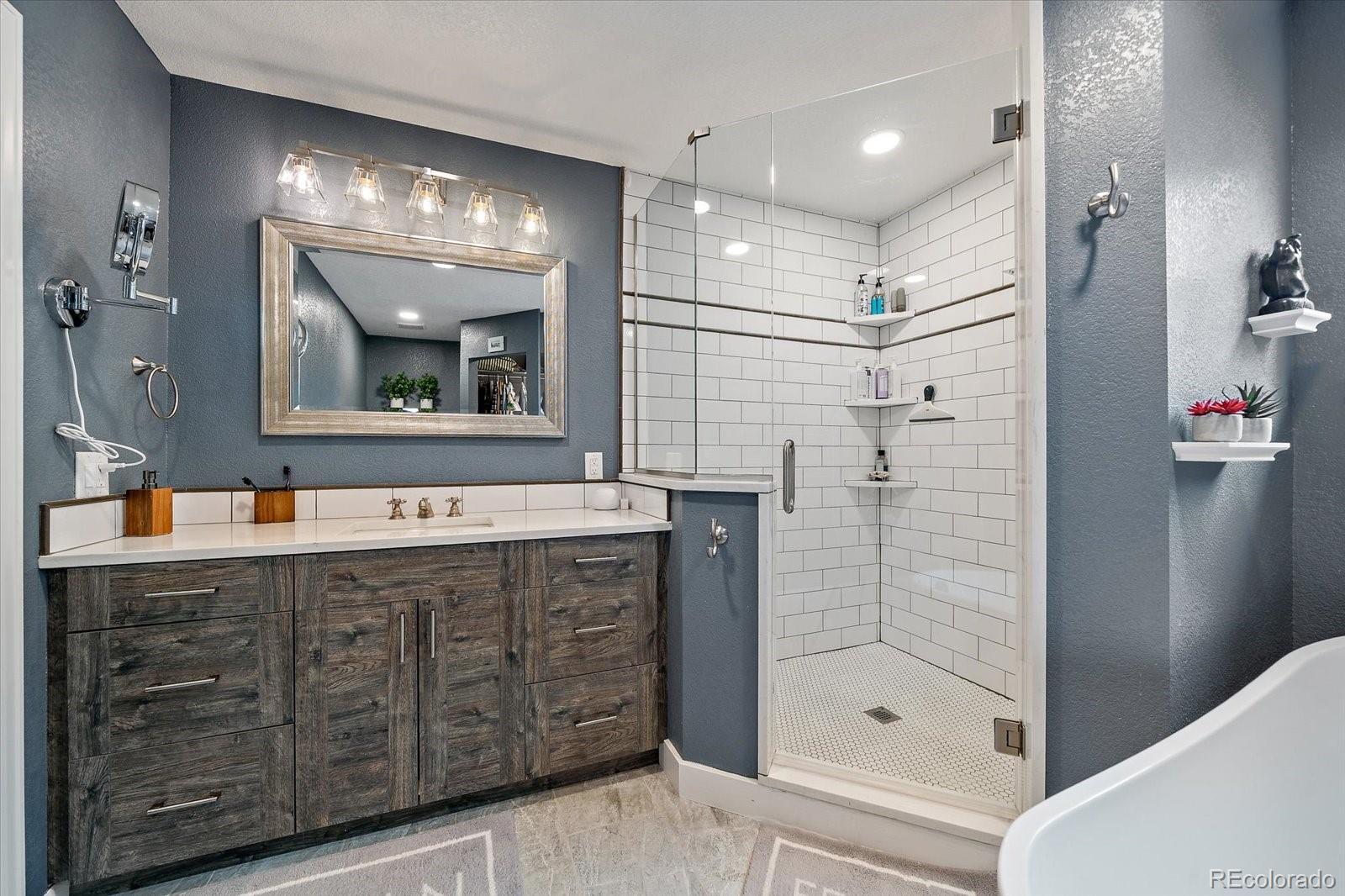 MLS Image #11 for 10654  apishamore court,parker, Colorado