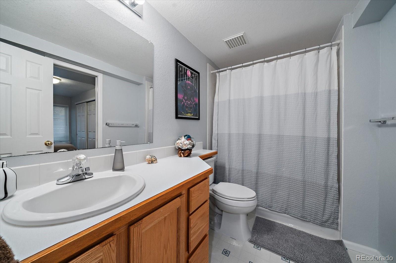 MLS Image #19 for 10654  apishamore court,parker, Colorado