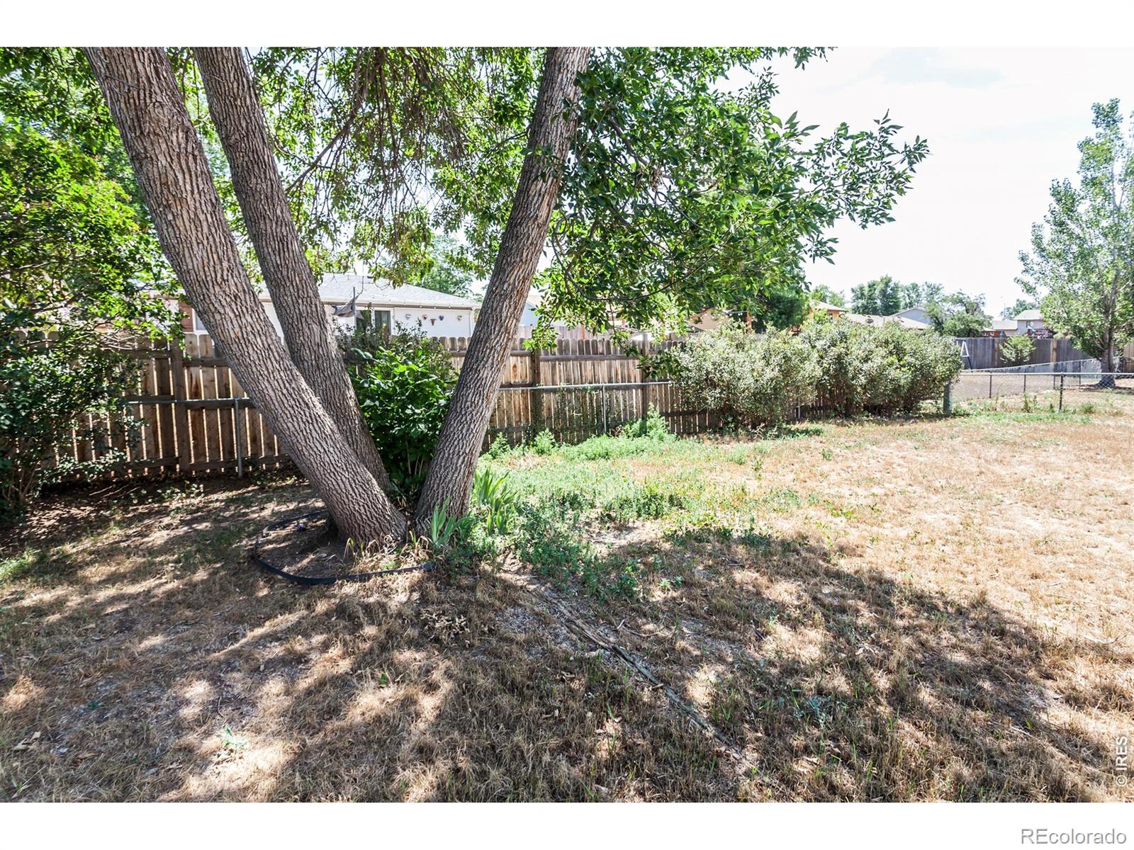 MLS Image #32 for 816  tyler street,fort collins, Colorado