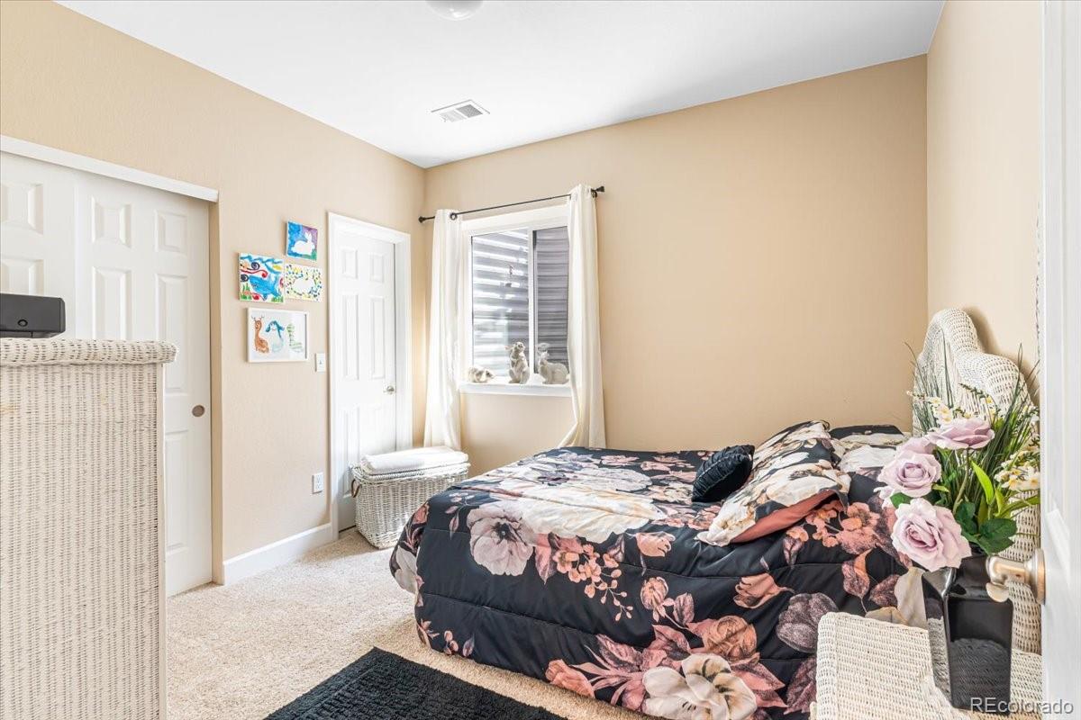 MLS Image #29 for 1048  brocade drive,highlands ranch, Colorado