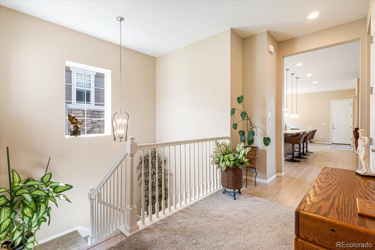 MLS Image #4 for 1048  brocade drive,highlands ranch, Colorado