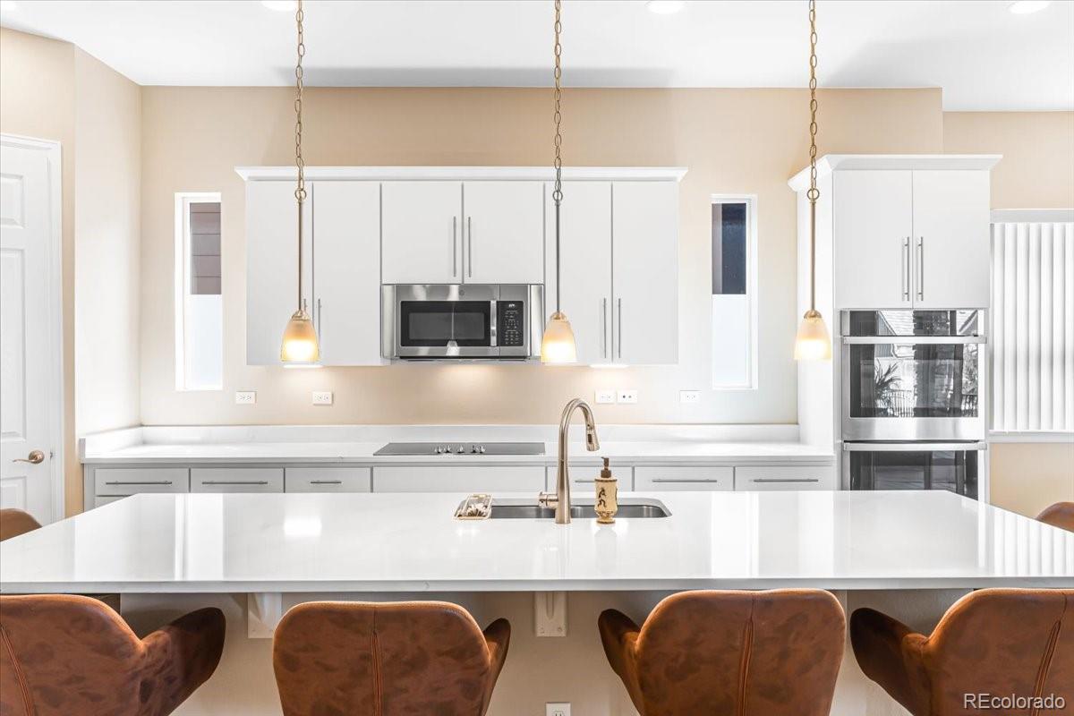 MLS Image #7 for 1048  brocade drive,highlands ranch, Colorado