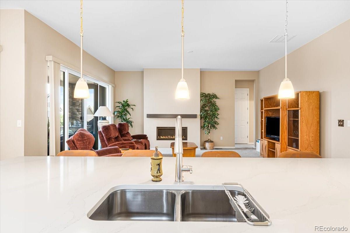 MLS Image #8 for 1048  brocade drive,highlands ranch, Colorado