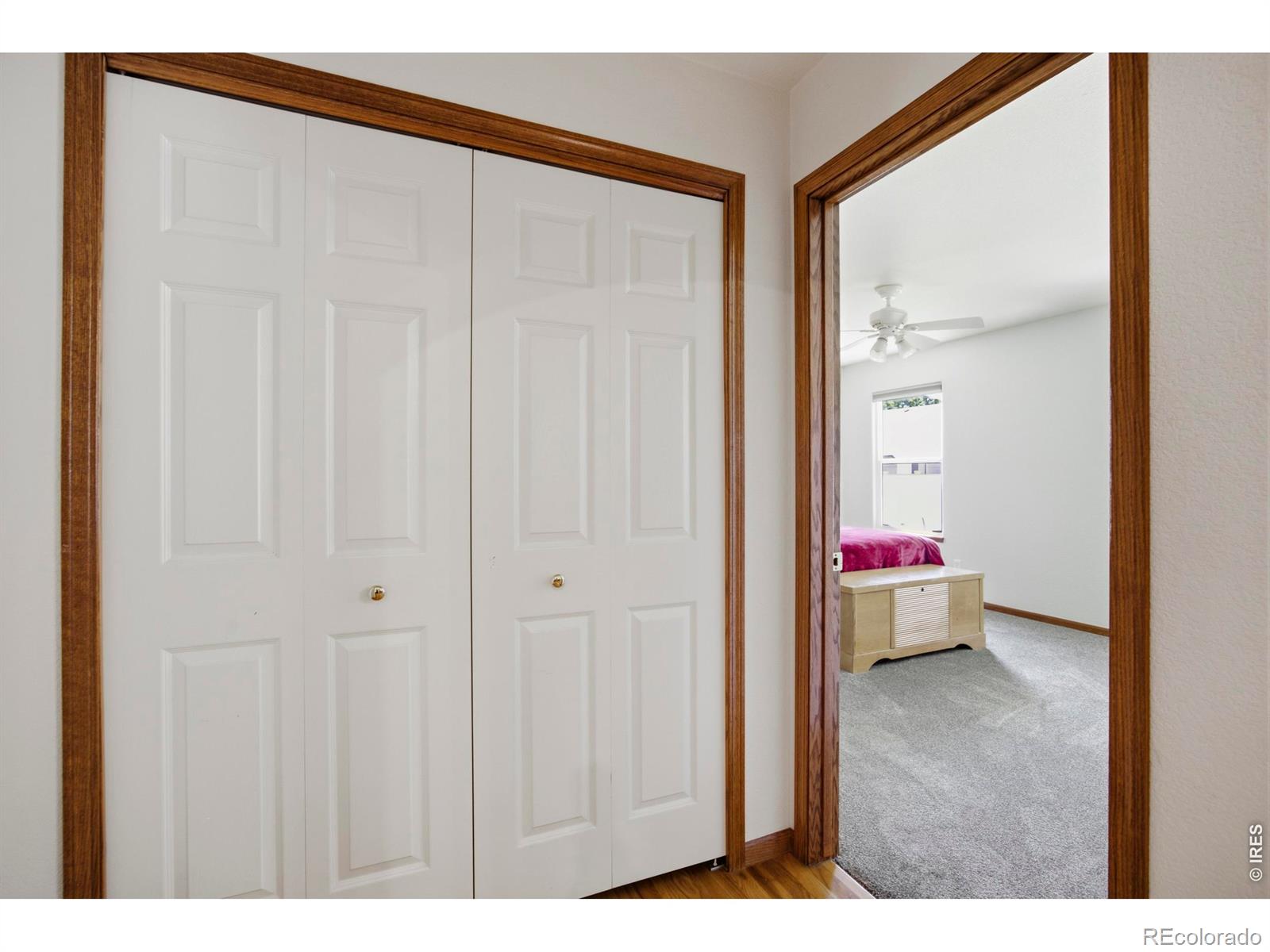 MLS Image #25 for 2614  forsythia drive,loveland, Colorado