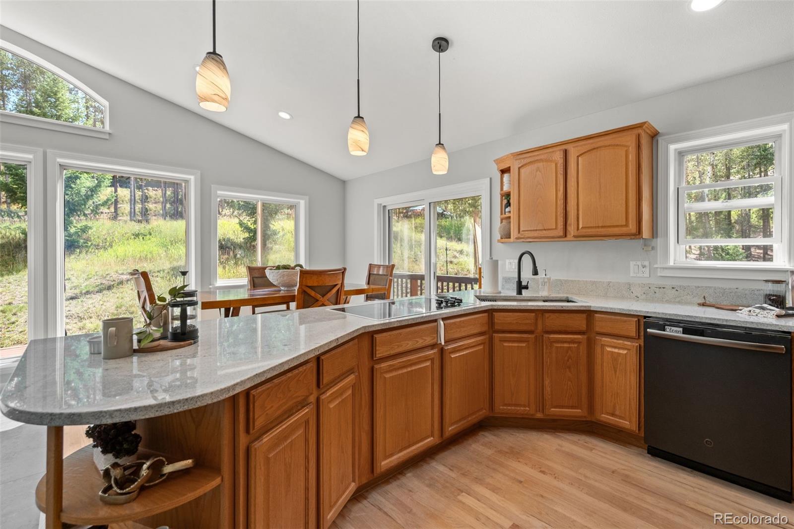 MLS Image #11 for 9039  black mountain drive,conifer, Colorado