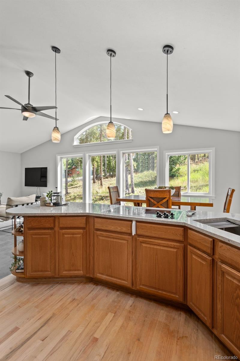 MLS Image #12 for 9039  black mountain drive,conifer, Colorado