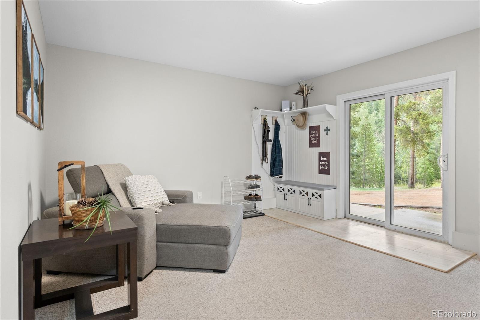 MLS Image #28 for 9039  black mountain drive,conifer, Colorado