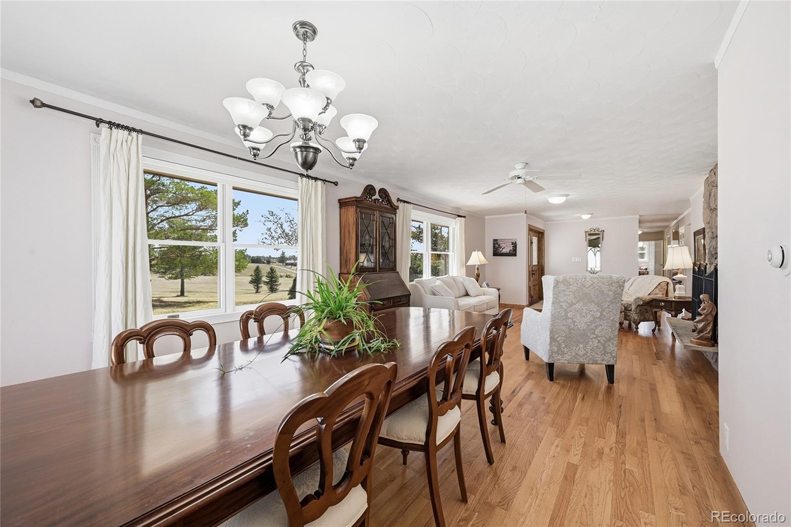 MLS Image #15 for 11481  antelope lane,parker, Colorado