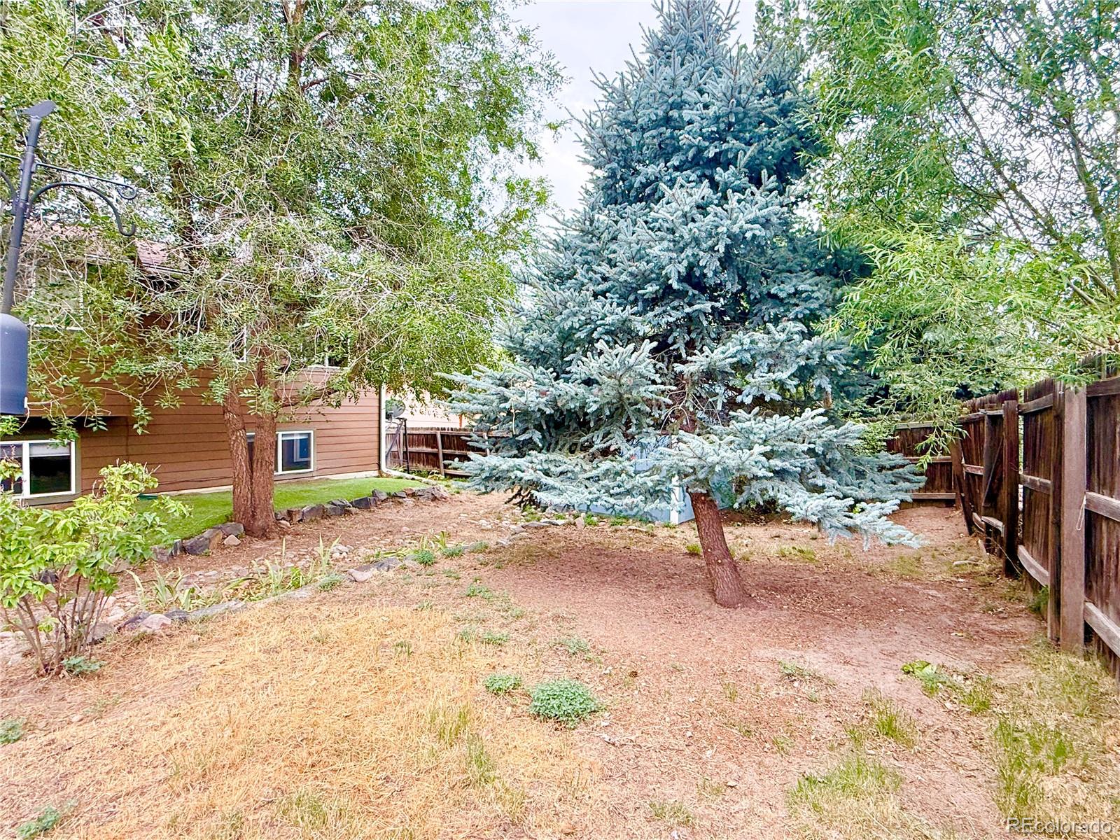 MLS Image #24 for 2023  summerfield drive,castle rock, Colorado