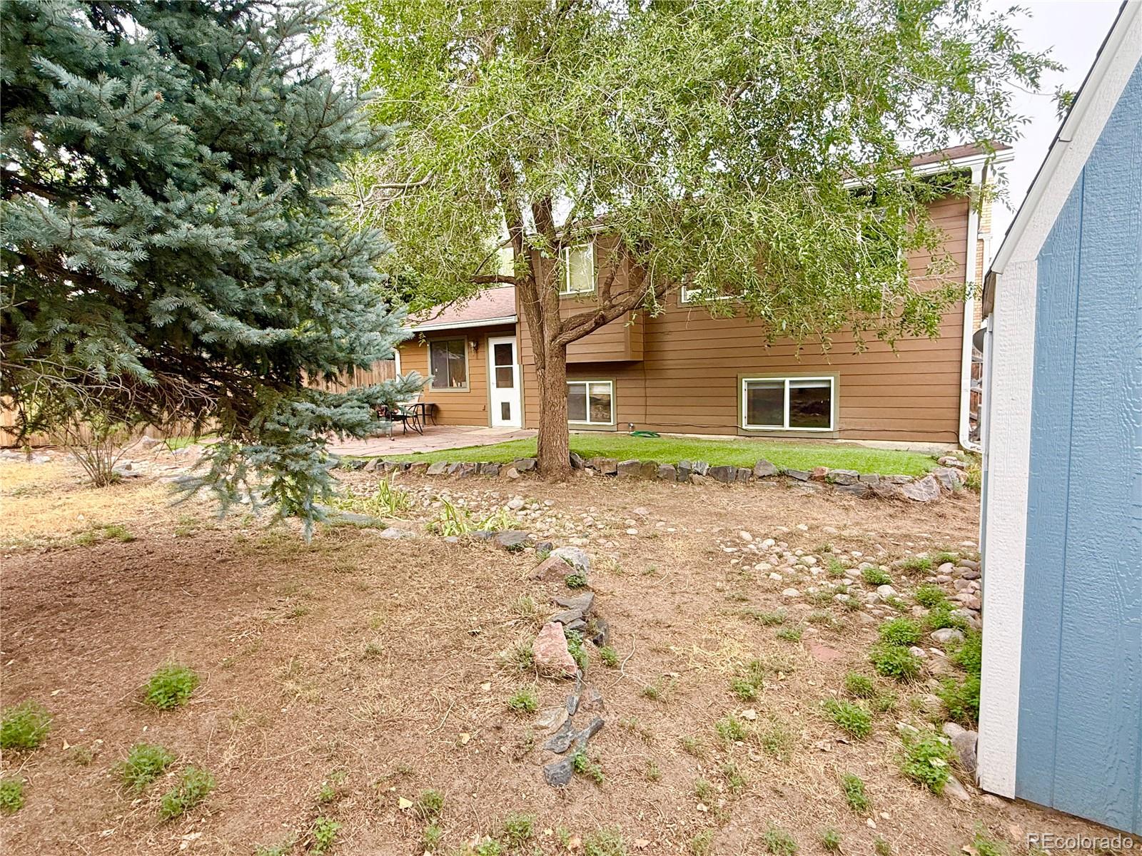 MLS Image #25 for 2023  summerfield drive,castle rock, Colorado